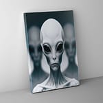 alien white canvas